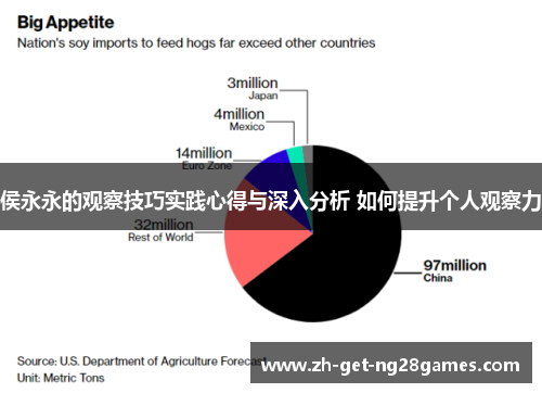 侯永永的观察技巧实践心得与深入分析 如何提升个人观察力