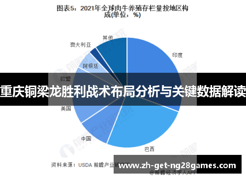 重庆铜梁龙胜利战术布局分析与关键数据解读