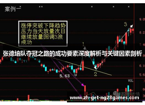 张德培队夺冠之路的成功要素深度解析与关键因素剖析